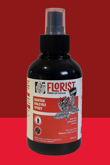 mantar önleyici