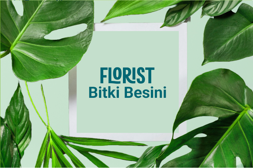 Bitki Besini